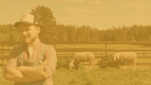 Lire la suite à propos de l’article L’Agrivoltaïsme est-il coûteux pour les agriculteurs ?