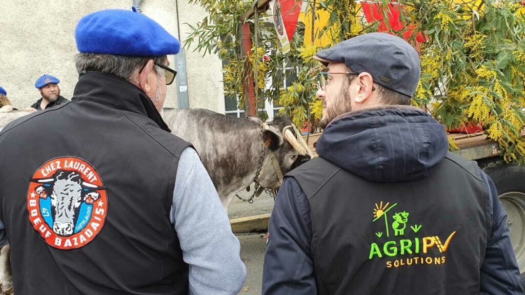 AgriPV Solutions : Sécuriser votre projet agrivoltaïque avec notre service sur-mesure de recherche d'exploitant