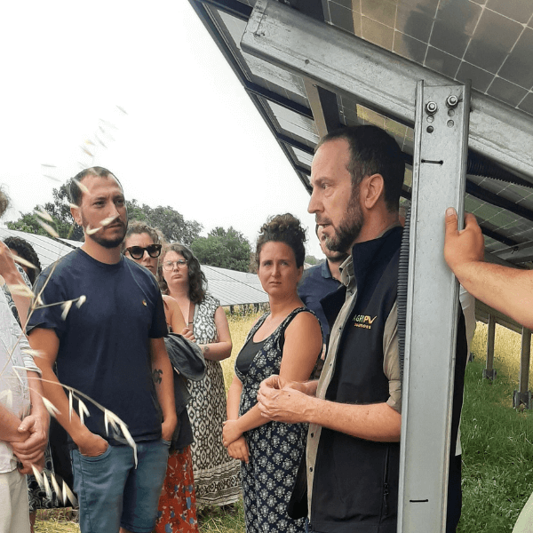Agrivoltaisme : des formations sur-mesure pour concilier projet agricole et production solaire