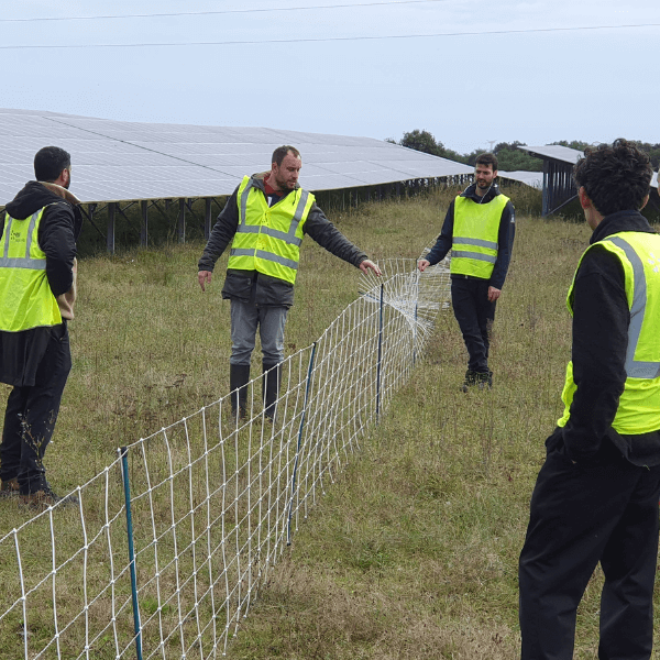 Formations Agrivoltaisme et projet agricole pour monter des projets serieux et cohérents